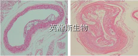 图片3_wm.jpg