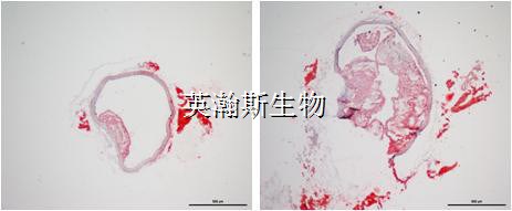 图片4_wm.jpg