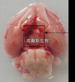 图片2_wm.jpg