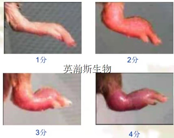 图片1_wm.jpg
