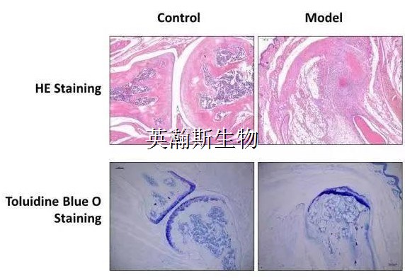 图片2_wm.jpg