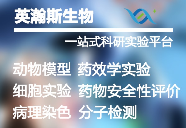 公司业务介绍-小.jpg